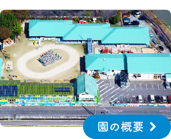 園の概要